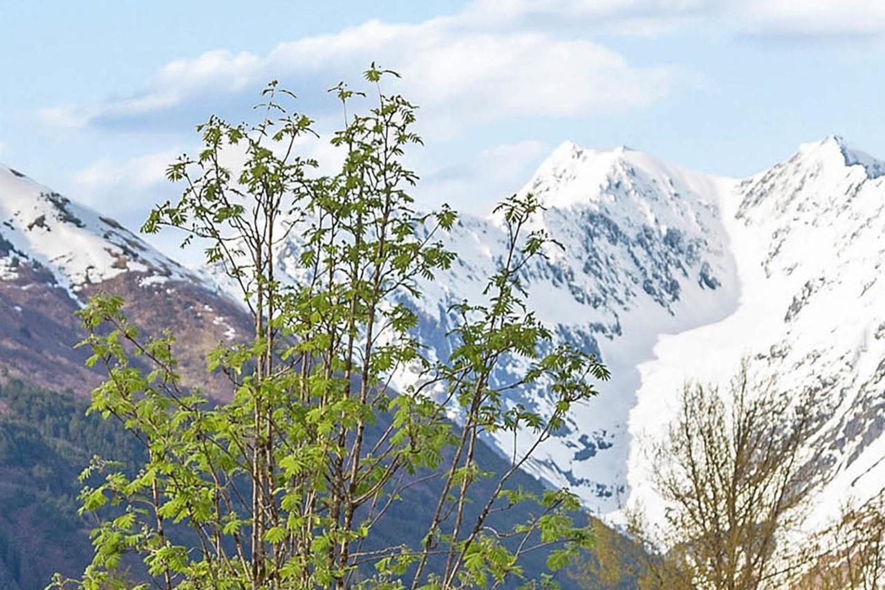 Ferienwohnung Snowbird 131-B Girdwood Exterior foto